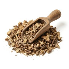 Gravel Root Herb Wild Crafted NY Herb Premium Quality FREE SHIP