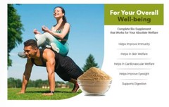 Amla Powder 1 lb(16 Ounces) Wild Amla Berries | Non-Irradiated | Raw Gluten-Free