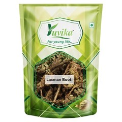 Laxman Booti – Lakshman Booti – Selaginella Bryopteris – Guma