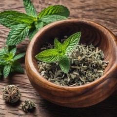 Peppermint herb – Loose Leaf – Mint Tea – Quality – USA