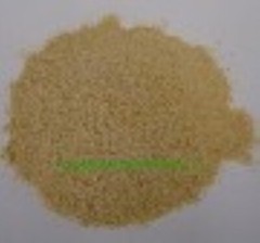 Wood Ear Mushroom Powder Premium Quality