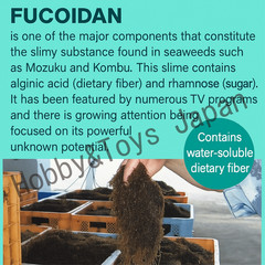 2 Boxes Okinawa Fucoidan Kanehide Bio 180 Caps 100% Mozuku Extract Supplement D