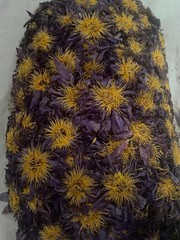Blue Lotus |Nymphaea Caerulea| 100% Organic Herbal Hand Picked Flowers Tea