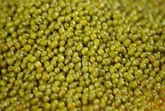 Moong Bean Whole- Vigna Radiata Green Gram Sabut Hare Mung for Sprouting