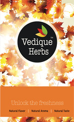 VEDIQUE HERBS Boswellia Resin (Salai Guggul | Shallaki) – 250g (8.8oz) | Raw,…