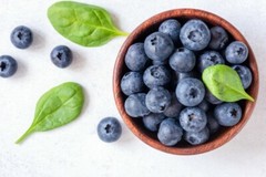 Blueberry powder 8oz (227g) Freeze Dried Vitamin C, Mental Health – SoFruta