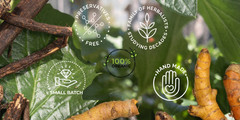 Digestive Ease Tincture | Organic | For Indigestion, Gas & Digestive Support