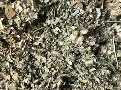 No.23 Herb Mix Osha Lobelia Mull Colts Catnip Raspberry Mint Leaf 1/8 oz sample