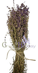 Organic Greek Dried Pennyroyal Mint Bunch 40gr-2kg Mentha Pulegium