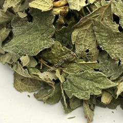 Dream Herb, Calea zacatechichi, Mexican Dream Herb ~ Schmerbals Herbals