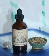 ANGELICA Tincture Analgesic Anxiety Move Congestion Phlegm ORGANIC FOLK Remedy