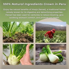 Hinojo 100% Natural Fennel1.41oz / 40g – Aids Stomach Discomfort from Peru