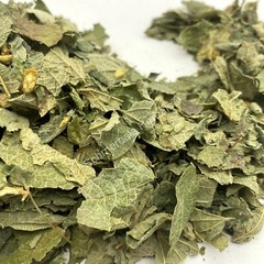 Dream Herb, Calea zacatechichi, Mexican Dream Herb ~ Schmerbals Herbals
