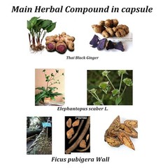 1x Krachaidum compound Black Galingale Capsule Tonic Supplement 100 Capsules