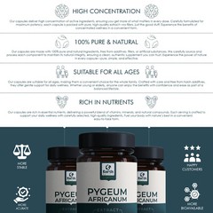 Pygeum Africanum Bark Pygeum Africanum Extract 500mg – 6.5% Phytosterols