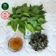 Calea Zacatechichi Tea Mexican Dream Herb Organic Herbal Lucid Aid 100% Natural