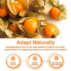 Ashwagandha KSM-66 2100mg – Vegan Root Extract High Strength Capsules 120 Pills