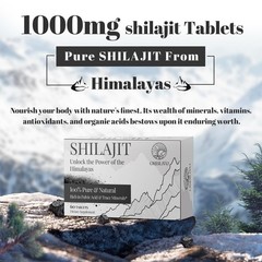 Shilasjit Tablets 1000 MG, 100% Himalayan Organic, 60 Count (Pack of 1), No