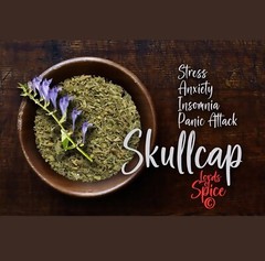 Scullcap Herb Organic Skullcap Dried Cut ~ Scutellaria Lateriflor ~ 100% Prue
