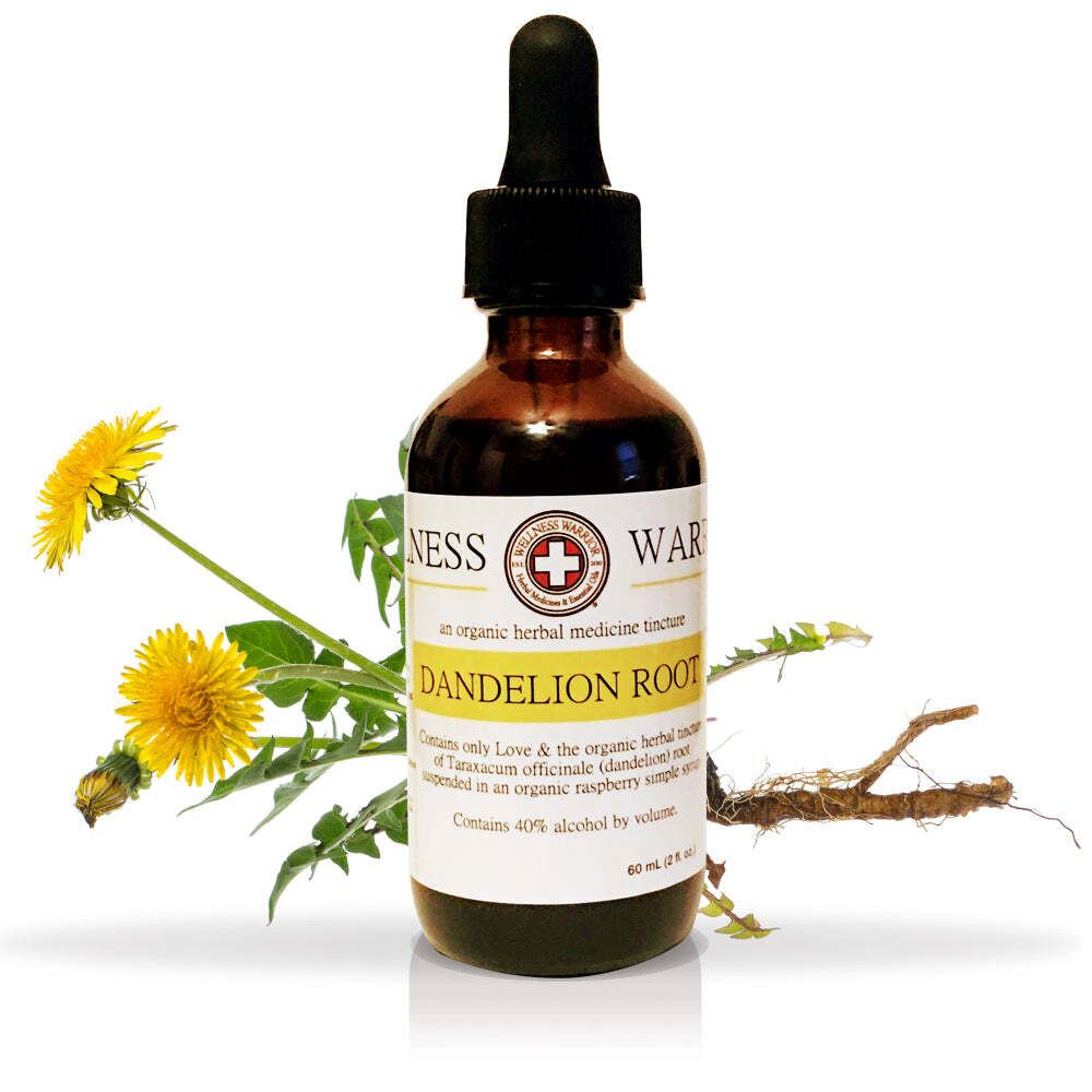 Dandelion Root Tincture