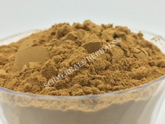 Dream Herb, Calea zacatechichi, 100:1 Powder Extract~ Schmerbals Herbals