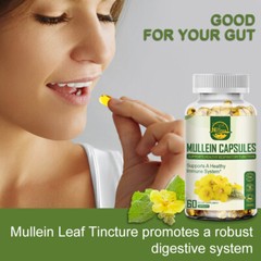 Nature’s Live Mullein Leaf Capsules | 1500mg | 60 Count | Support Lung Cleanse