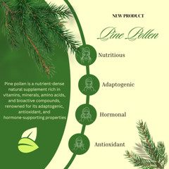 Organic Pine Pollen 500mg – Testosterone & Vitality Support – 100 Caps