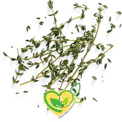 Organic Thyme Leaf Natural Herb Dried Cut 28.3g | 1 OZ Culinary & Medicinal Aid