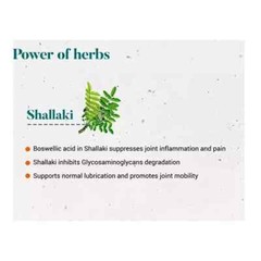 Himalaya Shallaki Boswellia Joint Support For Mobility &Flexibility 5 Box 2026
