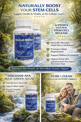 Celulas Madres -6 Bottles! Freshly manufactured original Vitamisan