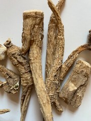 1LB – Hand Selected American Ginseng Root Tails Size S/M – Wisconsin ginseng