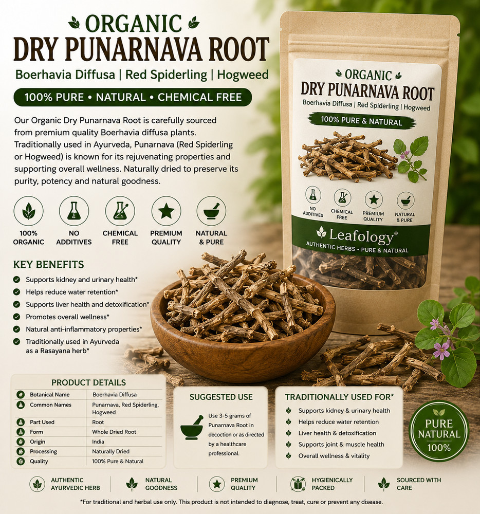 Organic Dry Punarnava Root – Boerhavia diffusa (Red Spiderling / Hogweed)