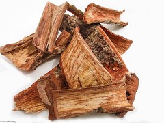 BARK Cut; Mexican Cuachalalate; 5oz