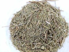 Common wormwood artemisia 100 gram (3.5 oz) عشبة الشيح شيح