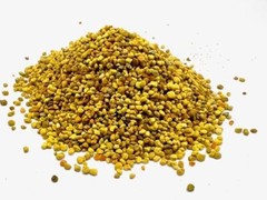 Bee Pollen Granules BULK HERBS 8 oz.