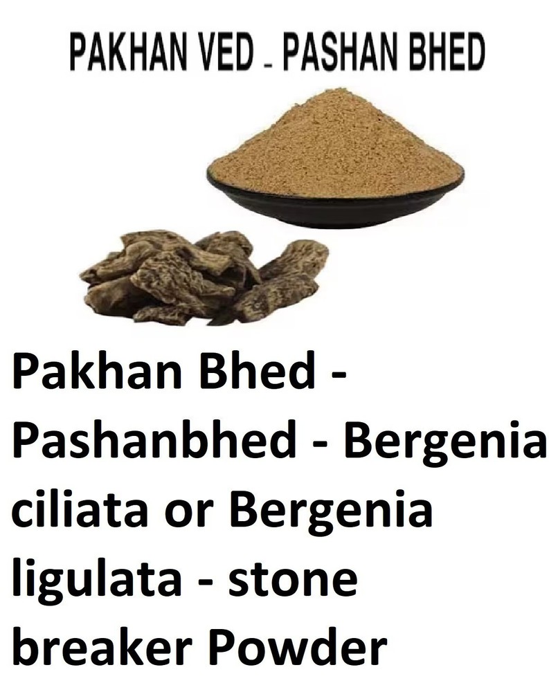 Pakhan Bhed Pashanbhed Bergenia ciliata (stone breaker) Powder 100% Purest