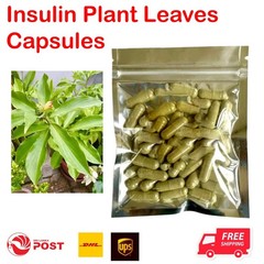 Natural Insulin Plant Leaves Capsules (1100mg) Organic Herbal Costus Igneus Pure