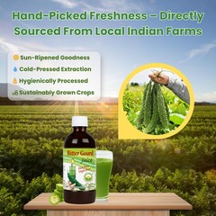 Basic Ayurveda Bitter Gourd (Karela) Juice | 16.23 Fl 16.32 Oz (Pack of 1)