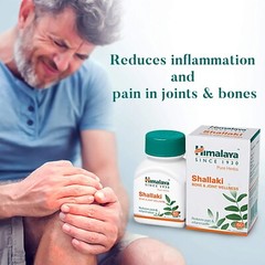 🌿 Himalaya Shallaki 60 Tablets EACH | Pack of 10 | Expiry 03-2027