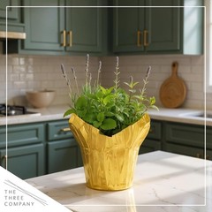 Stress Relief Live Plant Trio – Lemon Balm, Lavender, Mint