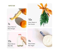 Premium Moringa Powder – Energy, Immunity & Wellness Support
