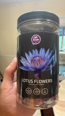 Blue Lotus Flowers (Nymphaea Caerulea) 1.41oz (40g) BLUE TEA – Lotus Flower Tea