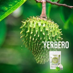 Yerbero – Whole Dried Graviola Soursop Leaves (4 oz – 330+ Leaves Per Bag) Hoja