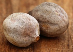 Bibhitaki Ayurvedic Herbal Dried Terminalia Bellirica Bahed INDIAN Free Shipping