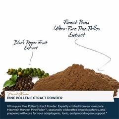 Forest Prana Pine Pollen Extract Powder – 50:1 Extract – 70 Gram Jar