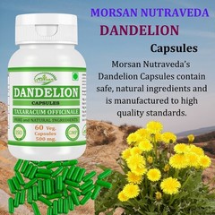 Dandelion (Taraxacum officinale) Capsules Herbal Supplement Pack 120 Veg Capsule