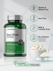 Sea Moss Capsules 2250mg | 120 Count | Bladderwrack & Burdock Root | by Horbaach