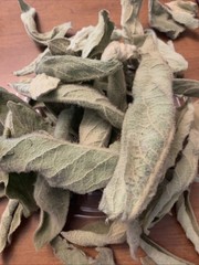 Sample 2 Whole Leaf Organic Mullein Fresh Forest Harvest Slow Naturally Dried
