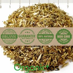 WORMWOOD Herb Tea Organic Artemisia Absinthium Digestion Natural Antibiotic Worm