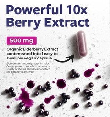 PURE CO USDA Organic Elderberry Capsules – 500mg 101 Sambucus Black Elderberry